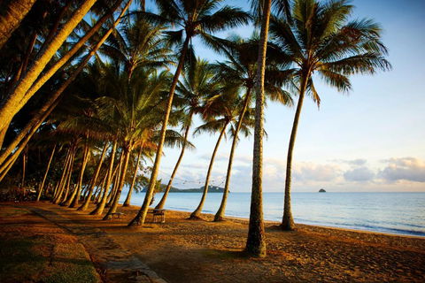 Alamanda Palm Cove By Lancemore - Tourism Search 3