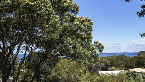 Anthonys Treehouse By The Beach - Tourism Search 2