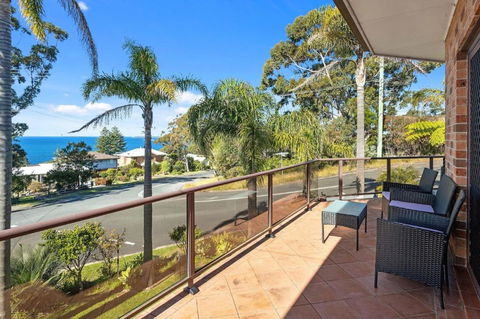 Argia Jervis Bay - Tourism Search 0