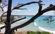At Melaleuca 3 - thumb 2