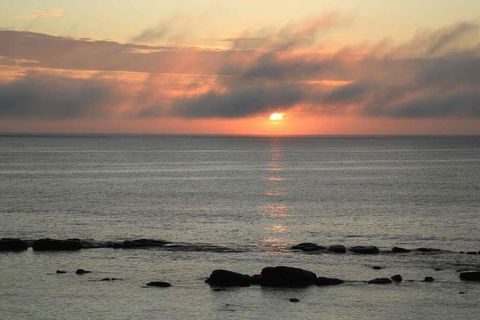 Augusta Beachfront - Watch The Whales Go By - Tourism Search 1