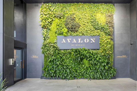 Avalon Resort Maroochydore - Tourism Search 2