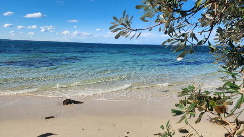 AXL Orion Beach Home: Beach Front - Tourism Search 3