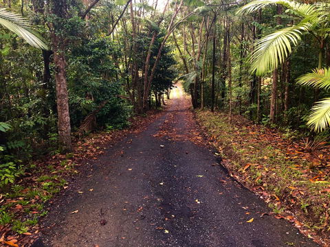 Daintree Manor B&B - Tourism Search 12