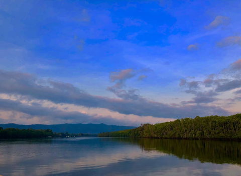 Daintree Manor B&B - Tourism Search 9