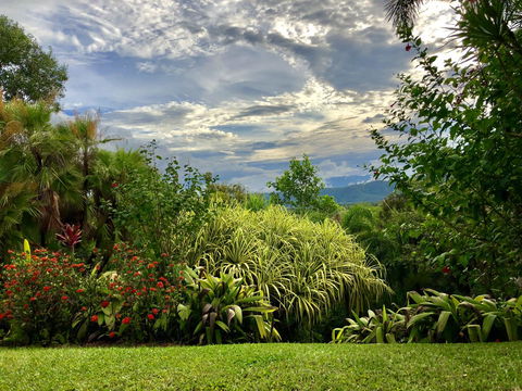 Daintree Manor B&B - Tourism Search 2