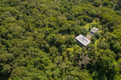 Daintree Manor B&B - Tourism Search 14