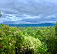 Daintree Manor BB - Tourism Search