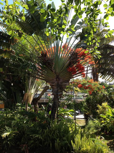Port Douglas Apartments - Adults Only Oasis - Tourism Search 39