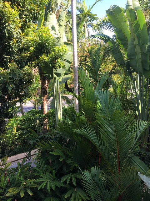 Port Douglas Apartments - Adults Only Oasis - Tourism Search 1