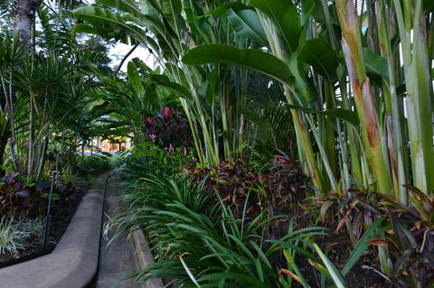 Port Douglas Apartments - Adults Only Oasis - Tourism Search 9