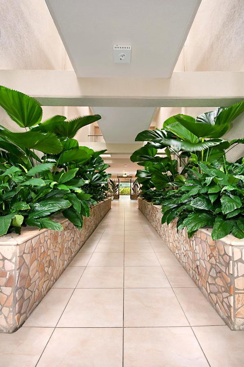 Shantara Resort Port Douglas - Adults Only Retreat - Tourism Search 27
