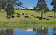 'Talumberi,' 221 Trapyard Road - thumb 0