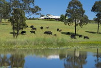 Book Nabiac Accommodation Vacations Tourism Search Tourism Search