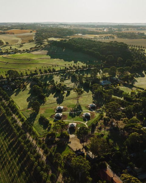 CANVS By CABN Seppeltsfield Barossa - Tourism Search 1