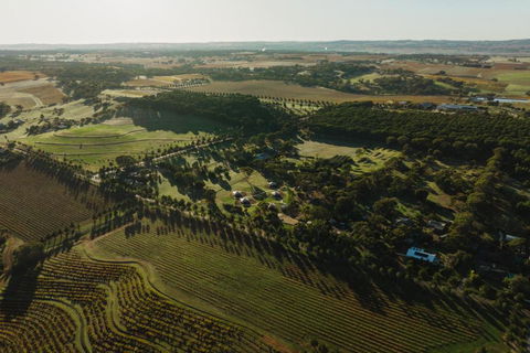 CANVS By CABN Seppeltsfield Barossa - Tourism Search 2