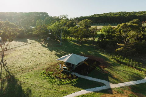 CANVS By CABN Seppeltsfield Barossa - Tourism Search 0