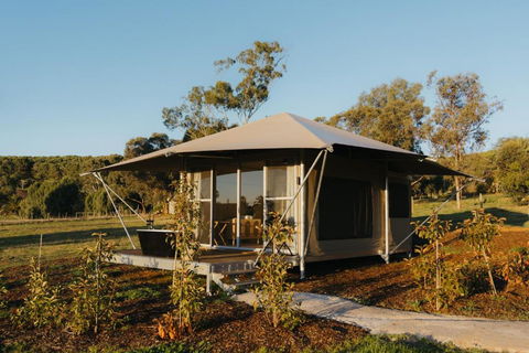 CANVS By CABN Seppeltsfield Barossa - Tourism Search 3