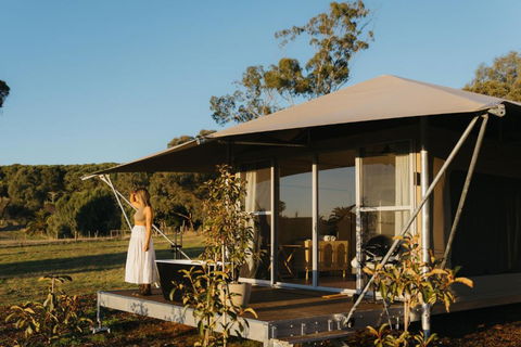 CANVS By CABN Seppeltsfield Barossa - Tourism Search 4