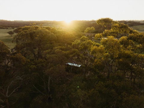 CABN Clare Valley - Tourism Search 4
