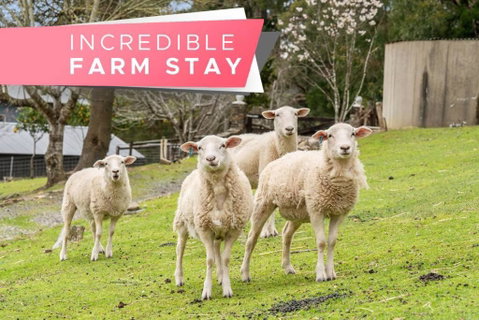Carawatha On The Range - Unique Farm Stay - Tourism Search 0