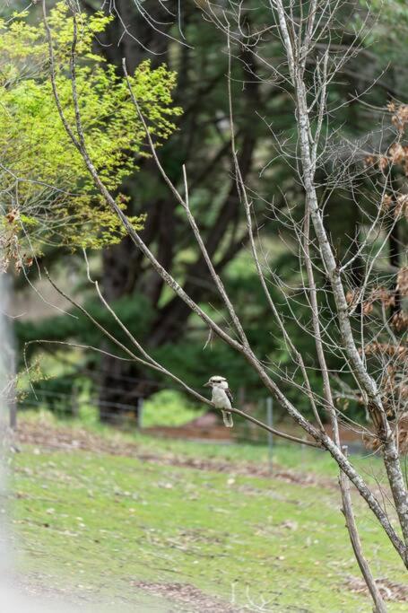 Carawatha On The Range - Unique Farm Stay - Tourism Search 4