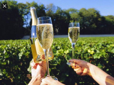 D110 Sweet Melon Super Stay-fantastic - Tourism Search 4