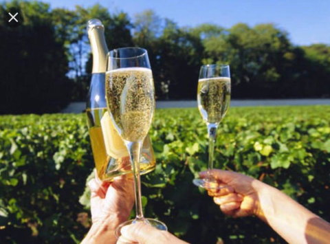 D119 Silver Birch Family Stay - Tourism Search 4