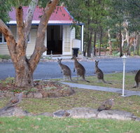 31 The Rocks - Tourism Search