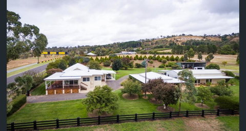 505 CONROD STRAIGHT MOUNT PANORAMA - Tourism Search 1