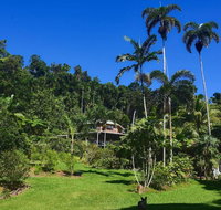 A Daintree Garden - Tourism Search