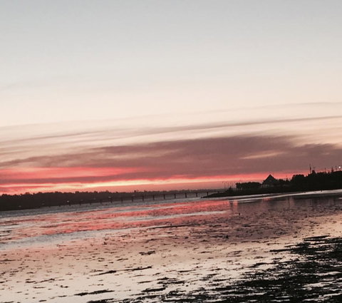 Abel Tasman On Esplanade - Tourism Search 2