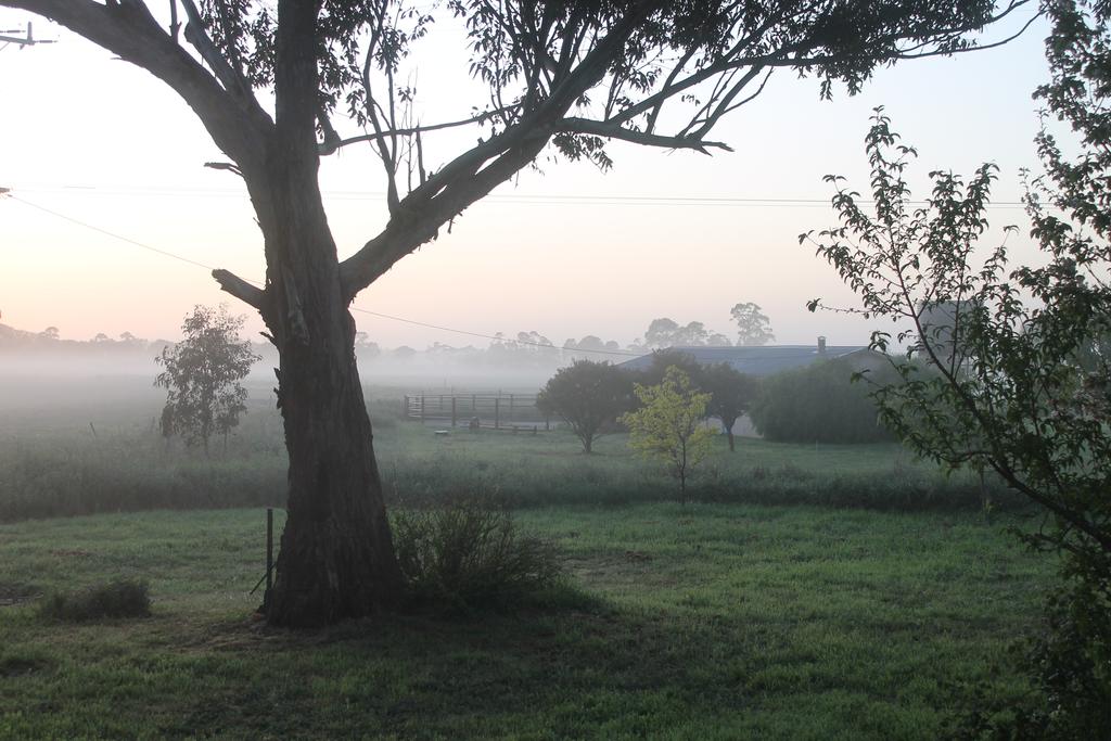 Tamboritha VIC Tourism Search