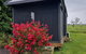 Farmstay@Morgans - thumb 4