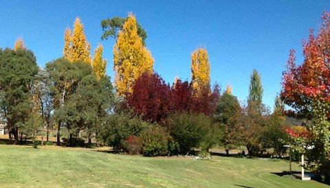 Glen Waverly Farmstay - Tourism Search 3