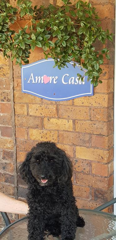 Amore Casa Tenterfield - Tourism Search 2