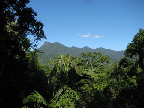 Mossman Gorge Bed And Breakfast - Tourism Search 0