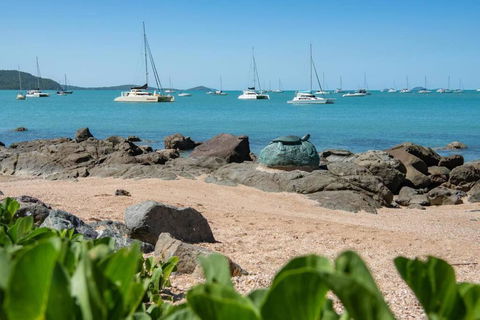 NEW! Gorgeous 2BR Apartment With Stunning Ocean Views! - Tourism Search 1