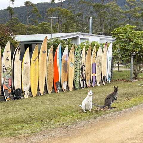 NOFOMO AT ADVENTURE BAY - Tourism Search 0