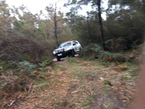 PNL4WDriving Bairnsdale Hub - Tourism Search 0
