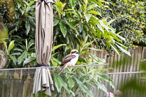 Quaint Queen Room - Central Location At Pymble - Shared Bathroom - Tourism Search 1