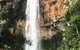 Purling Brook Falls Gwongorella - thumb 1