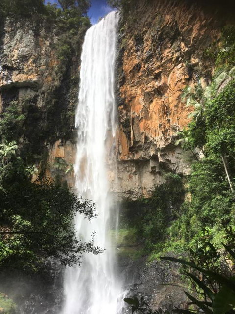 Purling Brook Falls Gwongorella - Tourism Search 1
