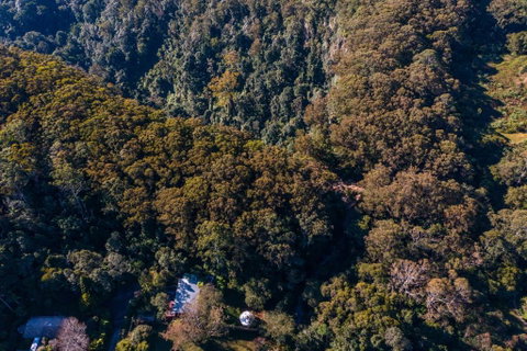 Purling Brook Falls Gwongorella - Tourism Search 2