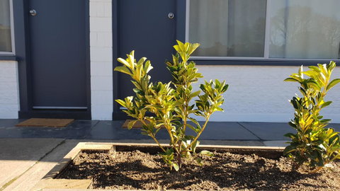 Australian Hotel Motel - Tourism Search 2