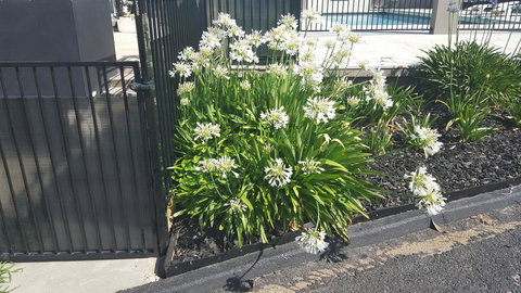 Bathurst Gold Panner - Tourism Search 1