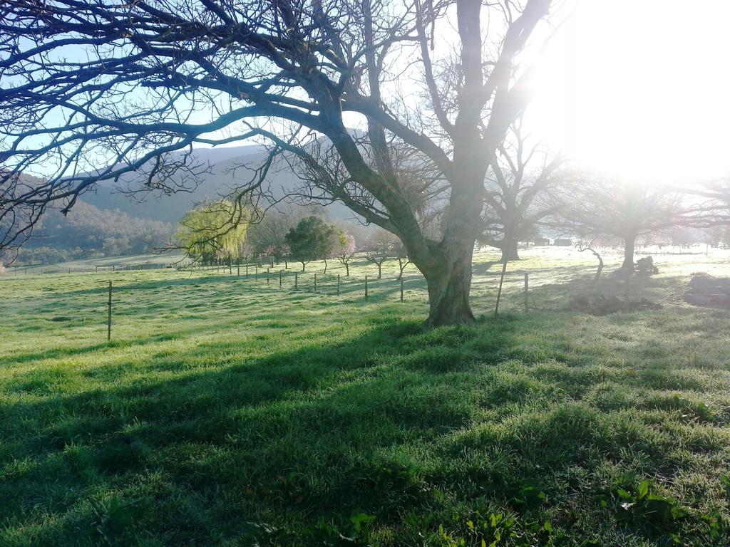 Staghorn Flat VIC Tourism Search