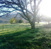 Bay Creek Guest House - Tourism Search