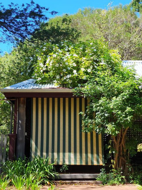 Redgum Hill Country Retreat - Tourism Search 3