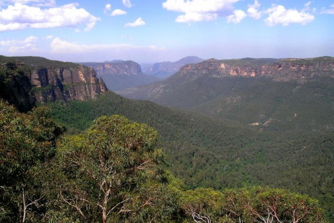 Ribbon Gum Lodge - Tourism Search 1